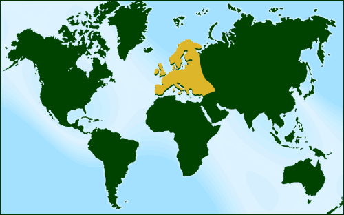 World Map Siberia